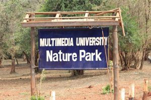 Nature Park